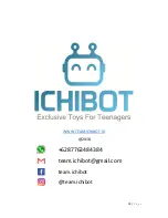 Предварительный просмотр 19 страницы ICHIBOT LF ULTIMATE 4S User Manual