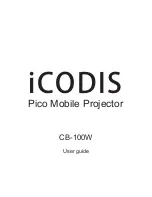 ICODIS CB-100W User Manual preview