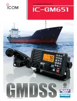 Icom IC-GM651 Specifications preview