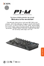 ICON P1-M User Manual preview