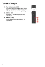 Предварительный просмотр 12 страницы ICON ProAudio PlatformNano Air User Manual