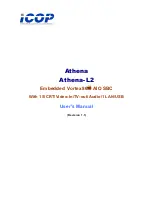 Icop athena User Manual preview