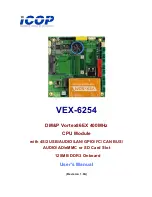 Предварительный просмотр 1 страницы Icop VEX-6254 User Manual