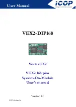 Предварительный просмотр 1 страницы Icop VEX2-DIP168 User Manual