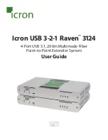 Icron 00-00437 User Manual preview