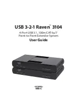 Icron USB 3-2-1 Raven 3104 User Manual предпросмотр