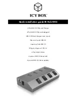 Preview for 1 page of Icy Box IB-Hub1405 Quick Installation Manual