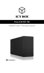 Icy Box Thunderbolt IB-3101-TB3 Manual preview