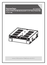 Icy Dock ExpressCage User Manual предпросмотр