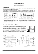 ID-AL Micro AMP 1 Quick Start Manual preview