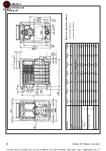 Preview for 22 page of IDEAL Viceroy GT 10 Installation, Assembly And Servicing