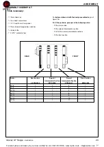 Preview for 23 page of IDEAL Viceroy GT 10 Installation, Assembly And Servicing