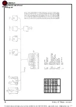 Preview for 36 page of IDEAL Viceroy GT 10 Installation, Assembly And Servicing