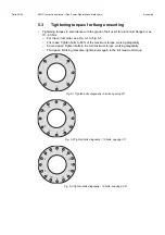 Предварительный просмотр 60 страницы Idex APF 2-TurboFighter Instruction Manual