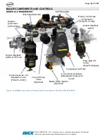 Предварительный просмотр 14 страницы Idex HALE SmartCAFS Installation And Operation Manual