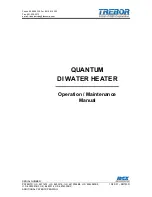 Предварительный просмотр 1 страницы Idex Trebor QA1V208P12-AA Operation & Maintenance Manual