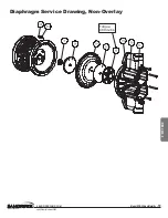 Preview for 19 page of Idex Warren Rupp SANDPIPER Beast SPB20 Service & Operating Manual