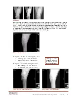 Preview for 21 page of Idexx EquiView Operator'S Manual