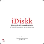 iDiskk PP01 User Manual preview