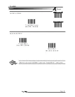 Предварительный просмотр 104 страницы IDTECH 2DScan FX100 User Manual