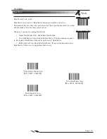 Предварительный просмотр 116 страницы IDTECH 2DScan FX100 User Manual