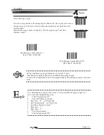 Предварительный просмотр 119 страницы IDTECH 2DScan FX100 User Manual