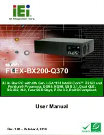 IEI Technology FLEX-BX200-Q370 User Manual preview