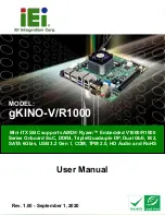 IEI Technology gKINO-R1000 Series User Manual preview