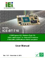 IEI Technology ICE-BT-T10-E38151 User Manual preview