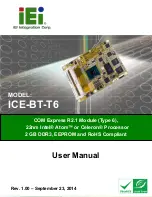 IEI Technology ICE-BT-T6 User Manual preview