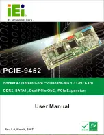 IEI Technology PCIE-9452 User Manual предпросмотр