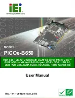 IEI Technology PICOe-B650 User Manual предпросмотр