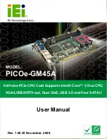 IEI Technology PICOe-GM45A User Manual предпросмотр