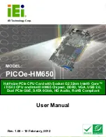 IEI Technology PICOe-HM650 User Manual предпросмотр