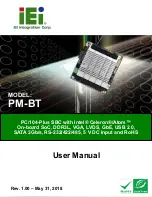 IEI Technology PM-BT series User Manual preview