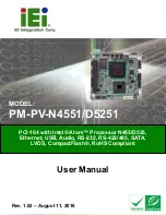 Preview for 1 page of IEI Technology PM-PV-N4551/D5251 User Manual