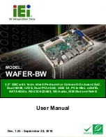 IEI Technology WAFER-BW-N4-R10 User Manual preview