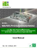 IEI Technology WAFER-PV-D4252 User Manual preview