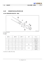 Preview for 213 page of IEMCA BOSS 338 HD Manual For Use And Maintenance