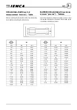 Предварительный просмотр 117 страницы IEMCA MASTER 880 MP E-volution Manual For Use And Maintenance