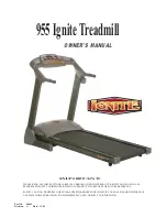 Ignite 955 Owner'S Manual preview