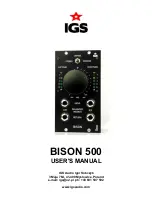 Предварительный просмотр 1 страницы IGS BISON 500 User Manual