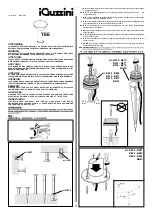 iGuzzini B874 Instructions Manual предпросмотр