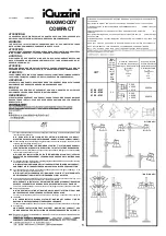 iGuzzini MAXIWOODY COMPACT Owner'S Manual preview