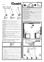 iGuzzini SPOT PALCO L Manual preview