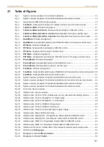 Preview for 221 page of Ihse MV42 Series User Manual