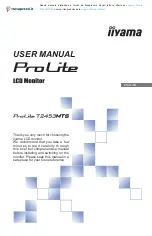 Iiyama ProLite T2453MTS-B1 User Manual предпросмотр