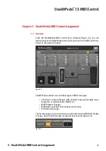 Preview for 17 page of IK Multimedia StealthPedal CS User Manual