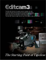 Preview for 2 page of Ikegami DNS-33W User Manual