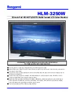 Предварительный просмотр 1 страницы Ikegami HLM-3250W Specifications